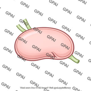 Lymph node deep cervical