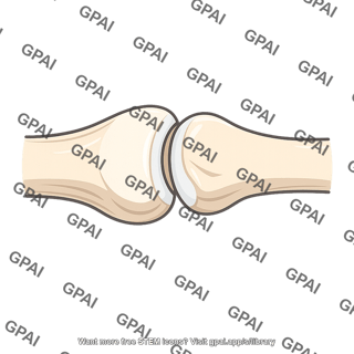 Metatarsophalangeal joint of great toe