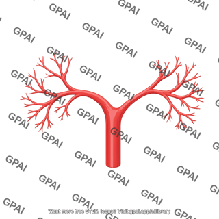 Common hepatic artery