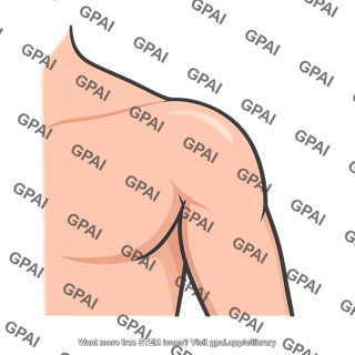 Shoulder region