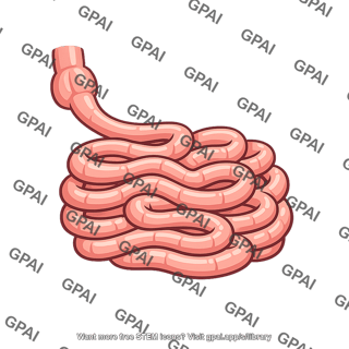 Small bowel