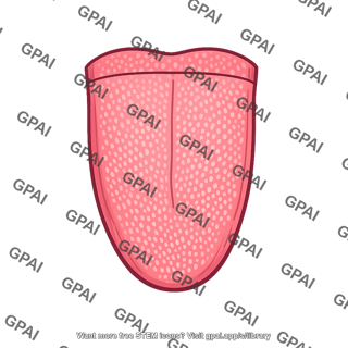 Tongue anterior two thirds