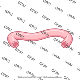 Midgut tube segment