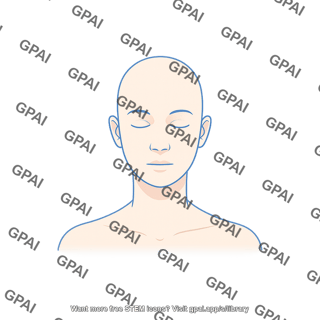 Gender neutral adult head anterior hairless