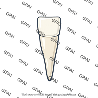 Lower incisor tooth