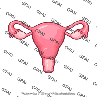 Female reproductive system