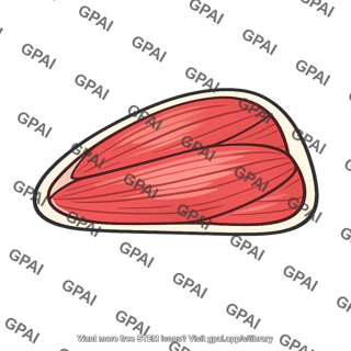 Raw meat cut