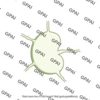 Lymph node cut blank 2