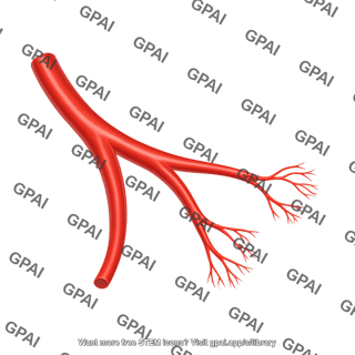 Vessel generic branching 2