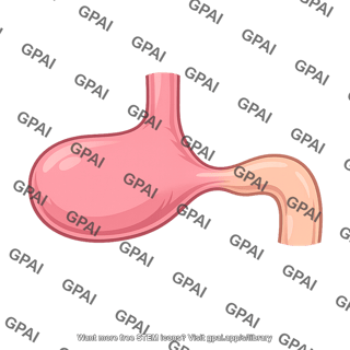 Gastroduodenal junction