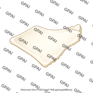 Cheese slice