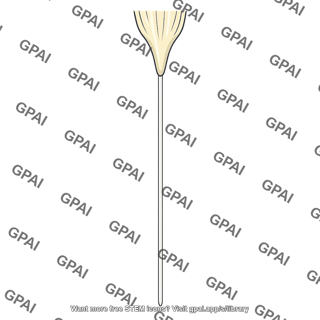 Fan shaped probe