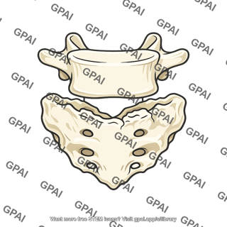 First sacral vertebra lumbarized