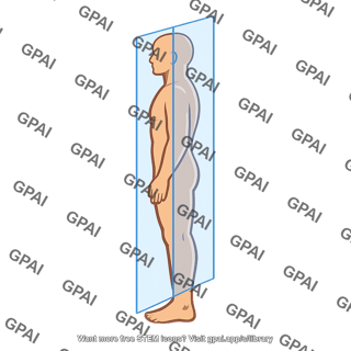 Sagittal plane