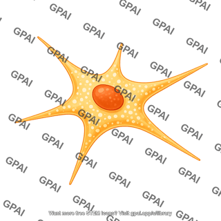 Stellate cell pancreatic quiescent 580