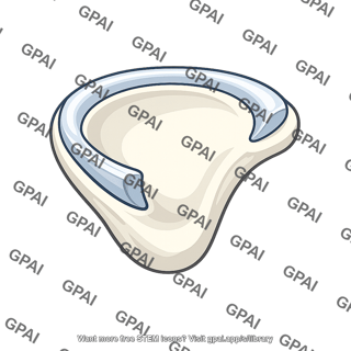 Glenoid labrum