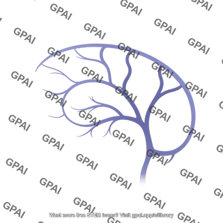Cerebral veins