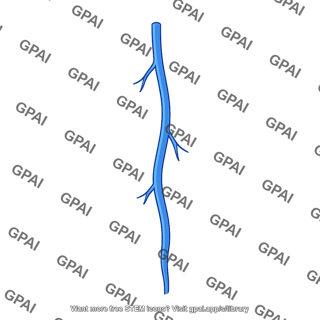 Blue vein