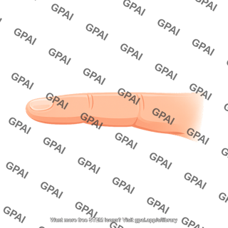 Finger