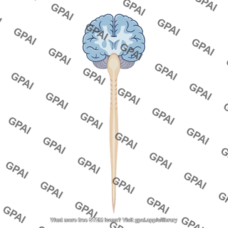 Cns schematic