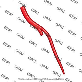 Blood vessel branch