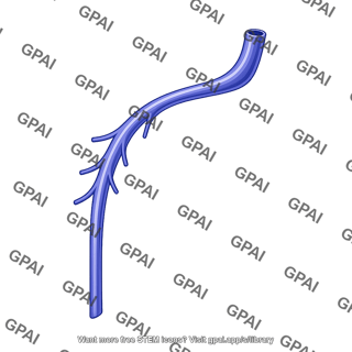 Left superior intercostal vein