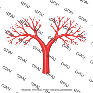 Arterial tree