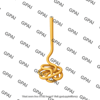 Sweat gland eccrine