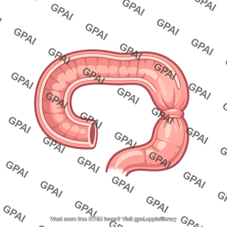Duodenum constricted