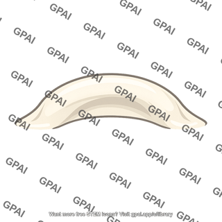 Curved ivory ridge