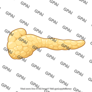 Pancreas