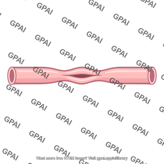 Urethra compressed