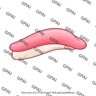 Nigiri sushi