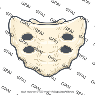 Sacrum