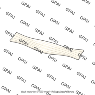 Ligament band