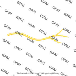 Branching nerve filament