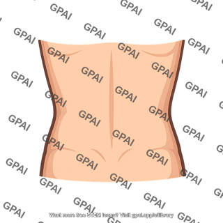Lumbar region