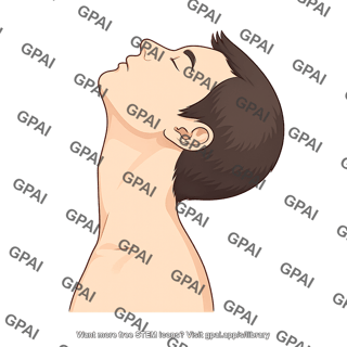 Adult neck extended lateral silhouette 106