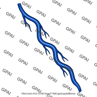 Superficial vein