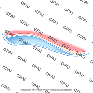 Abstract curved graphic