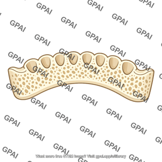 Alveolar bone