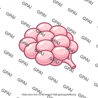 Mammary lobule