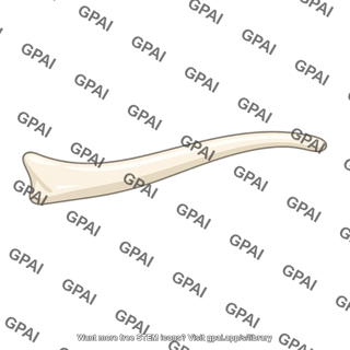 Greater horn of hyoid