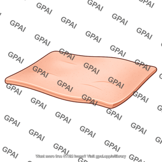 Skin surface patch