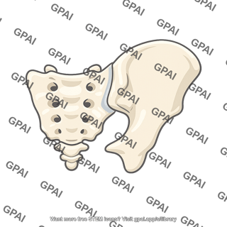 Right sacroiliac region