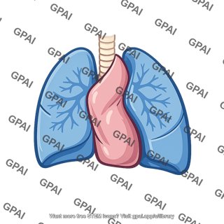 Mediastinum shifted