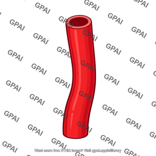 Carotid artery segment