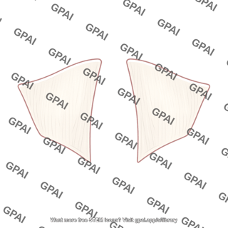 Quadrangular membrane