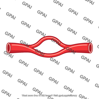 Arterial anastomosis