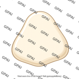 Patella